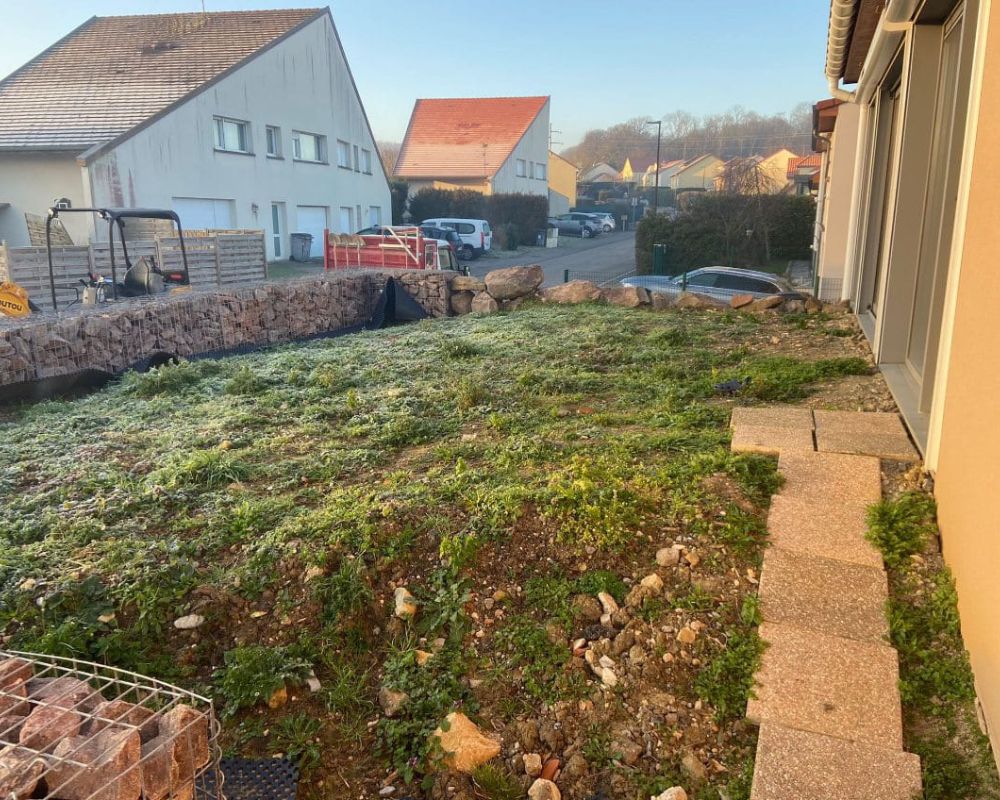 Avant taillage de haie